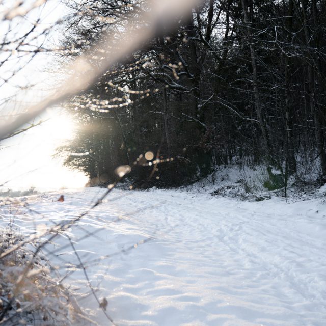 Hallo 2026, du wirst wunderbar, ich freu mich auf dich! ✨
