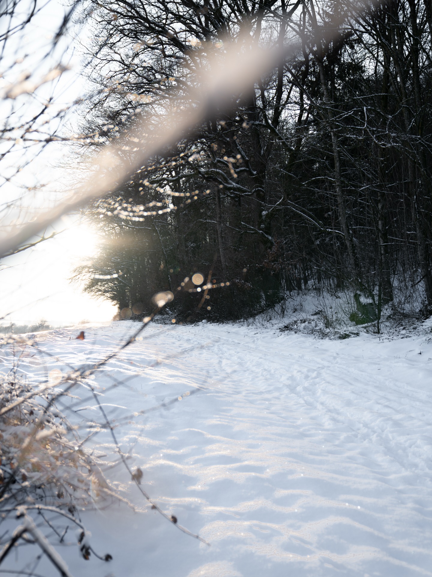 Hallo 2026, du wirst wunderbar, ich freu mich auf dich! ✨